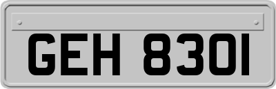 GEH8301