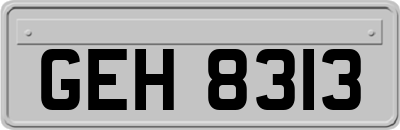 GEH8313