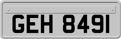 GEH8491