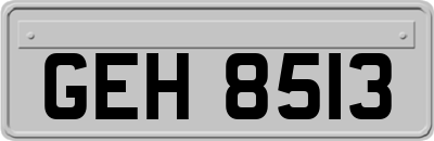 GEH8513