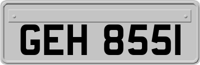 GEH8551