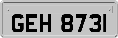GEH8731