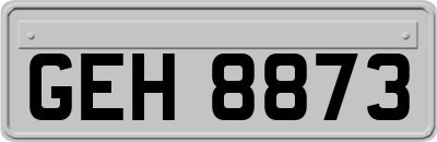 GEH8873