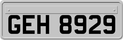GEH8929