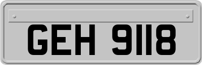 GEH9118