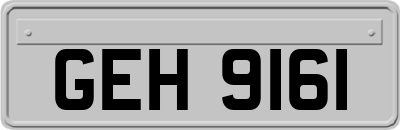 GEH9161