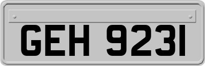 GEH9231