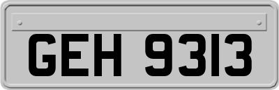 GEH9313