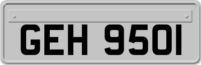 GEH9501