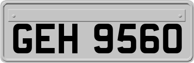 GEH9560