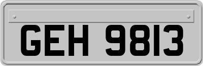 GEH9813