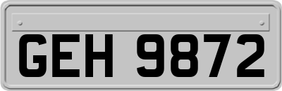 GEH9872