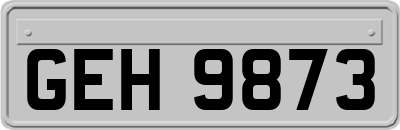 GEH9873
