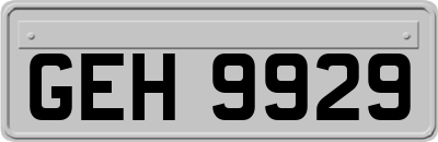 GEH9929