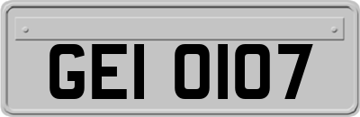 GEI0107