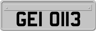 GEI0113