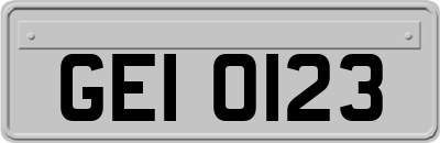 GEI0123