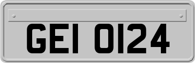 GEI0124