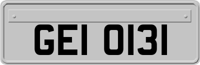 GEI0131