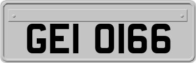 GEI0166