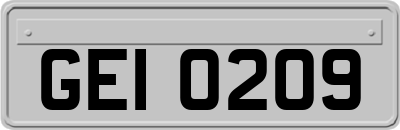 GEI0209