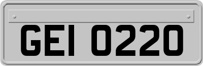 GEI0220