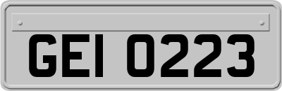 GEI0223