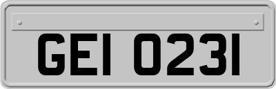 GEI0231