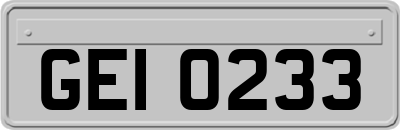 GEI0233
