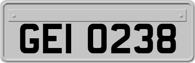 GEI0238