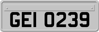 GEI0239