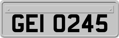GEI0245