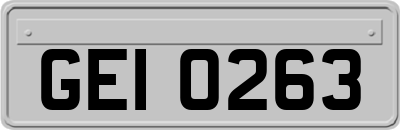 GEI0263