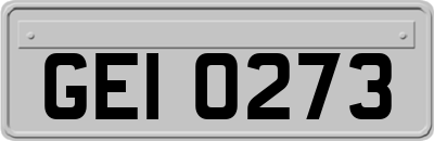 GEI0273