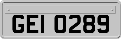 GEI0289