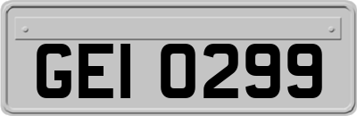 GEI0299