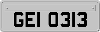 GEI0313