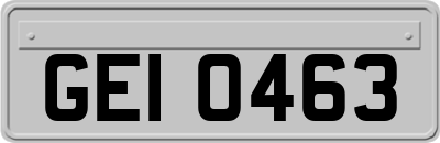 GEI0463