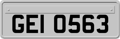 GEI0563