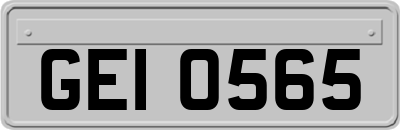 GEI0565