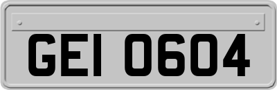 GEI0604