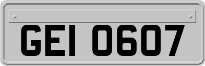 GEI0607
