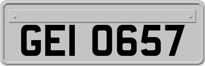 GEI0657