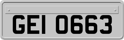 GEI0663