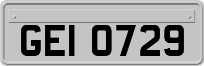 GEI0729