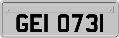 GEI0731