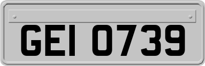 GEI0739