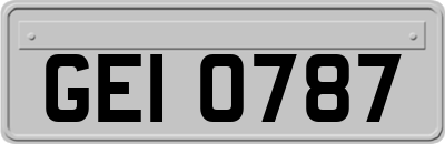 GEI0787