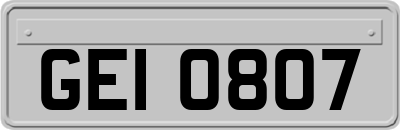 GEI0807