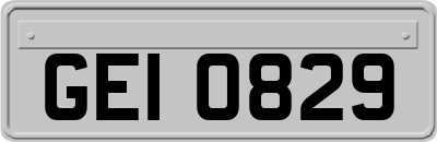 GEI0829